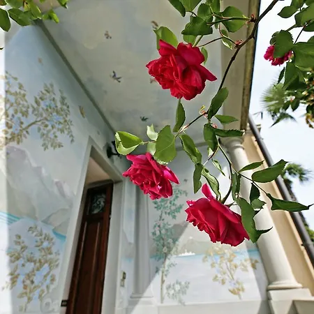 Casa Lilly Дом отдыха Белладжо